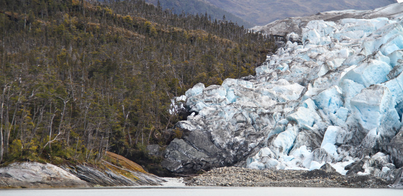 Glaciar Pio XI